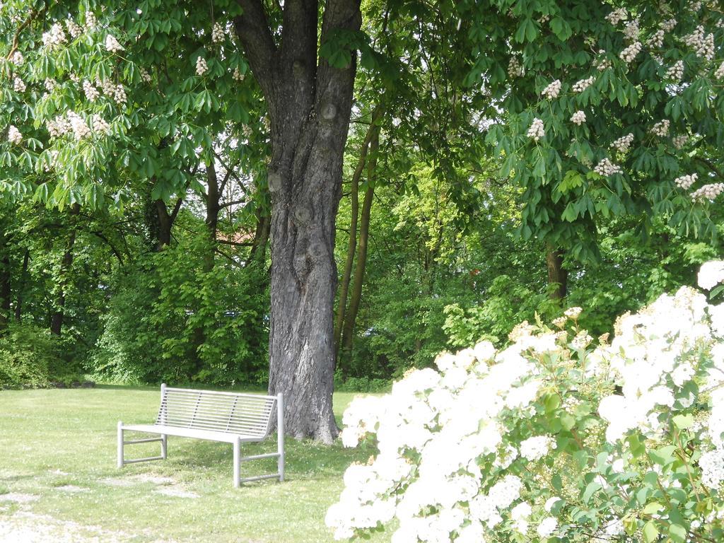 Haus Am Bach - Gemuetliche Pension Allershausen Esterno foto
